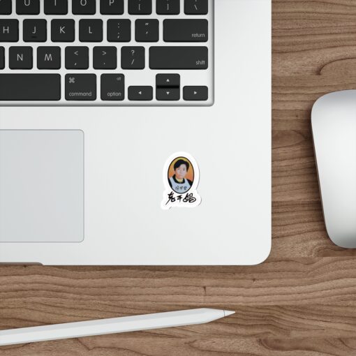 Lao Gan Ma Chili Crisp Stickers - Foodie Magnet Set for Spice Lovers - Image 2
